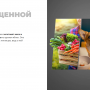 Сушилка для овощей и фруктов Redmond FD1101 (черный)