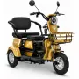Трицикл Rutrike Бумеранг золотистый