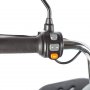 Трицикл Rutrike Gelbert Beta 48V/60V (Зелено-белый)