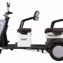 Трицикл Rutrike Gelbert Beta 48V/60V (Серо-белый)