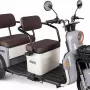 Трицикл Rutrike Gelbert Beta 48V/60V (Серо-белый)