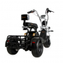 Электроскутер Ikingi Citycoco X1 PRO TRIKE