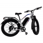 Электровелосипед Smart Balance X-Fat