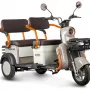 Трицикл Rutrike Gelbert Beta 48V/60V (бежевый)