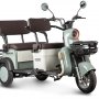 Трицикл Rutrike Gelbert Beta 48V/60V (Зелено-белый)