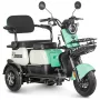 Трицикл Rutrike Вега зеленый