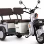 Трицикл Rutrike Gelbert Beta 48V/60V (Серо-белый)