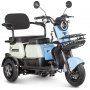 Трицикл Rutrike Вега синий