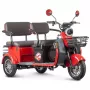 Трицикл Rutrike Gelbert Kappa 48V/60V (красный)