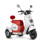 Трицикл Rutrike Gelbert Ogma 48V/60V (бело-красный)