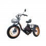 Электровелосипед Kugoo Trike 750W (48V15.6 Ah)
