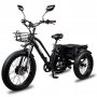 Электровелосипед Minako Trike