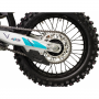 Мотоцикл M1NSK ERX 300W