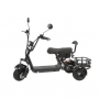 Трицикл ATEK X5 PRO Trike Mini