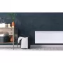 Конвектор Beha P 12
