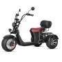 Трицикл ATEK X14 PRO Trike