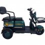Трицикл Nova Zubr Pro матовый зелёный