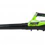 купить ветродуйку Greenworks G40AB