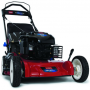Газонокосилка бензиновая Toro 20792