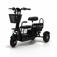 Трицикл BNP Zevs Lite