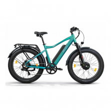 Электровелосипед Eltreco BigCat Dual Next зеленый матовый