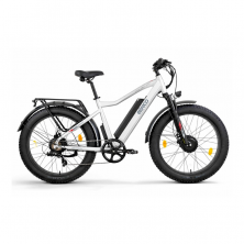 Электровелосипед Eltreco BigCat Dual Next серебристый матовый