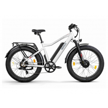 Электровелосипед Eltreco BigCat Dual Next PRO серебристый матовый