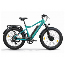 Электровелосипед Eltreco BigCat Dual Next PRO зеленый матовый