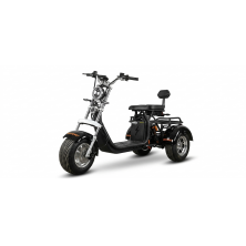 Трицикл Shtenli Model 108
