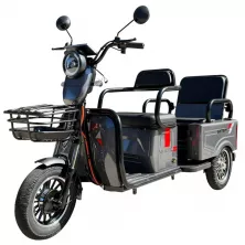 Трицикл Shtenli A034 (60V/20Ah SLA) серый