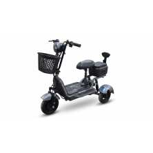 Трицикл Shtenli Model 20