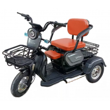 Трицикл Shtenli A031 48V 20Ah (SLA) серый