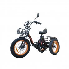 Электровелосипед Kugoo Trike 750W (48V15.6 Ah)
