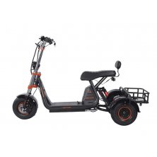 Трицикл Kugoo C4 Pro Jilong (48v20.8Ah)