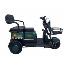 Трицикл Nova Zubr Pro матовый зелёный