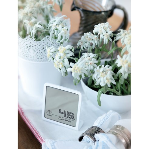 Гигрометр Stadler Form Selina hygrometer S-060 white