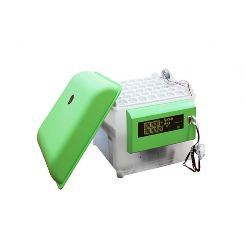 Инкубатор Спектр-84-01