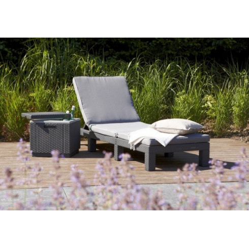 Шезлонг Keter Plastic Daytona (графит) 213720