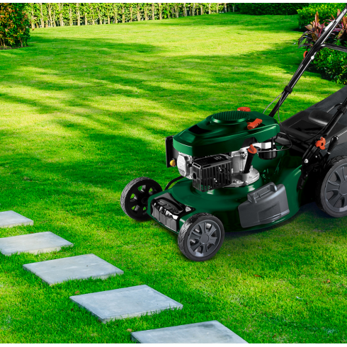 Газонокосилка бензиновая Oasis GB-20