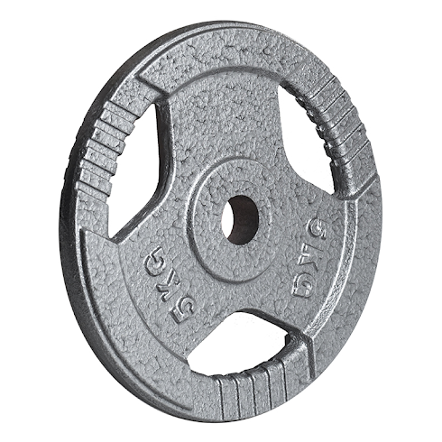 Диск металлический HAMMERTONE Atlas Sport 5 кг (посад. диаметр 26 мм)