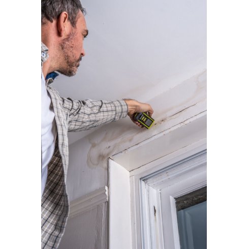 Измеритель влажности Ryobi RBPINMM1