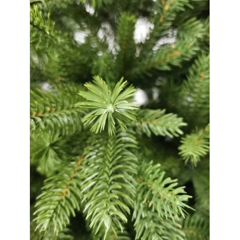 Ель Christmas Tree Milton 1.8 м (MNC-18)