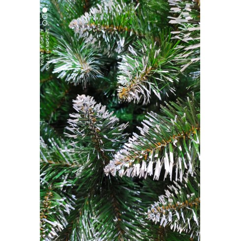 Сосна Christmas Tree Северная 2.5 м (DS-25)