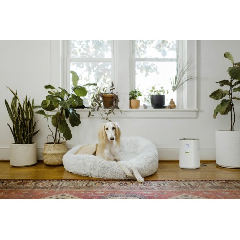 Очиститель воздуха Karcher AF 20 (1.024-820.0)