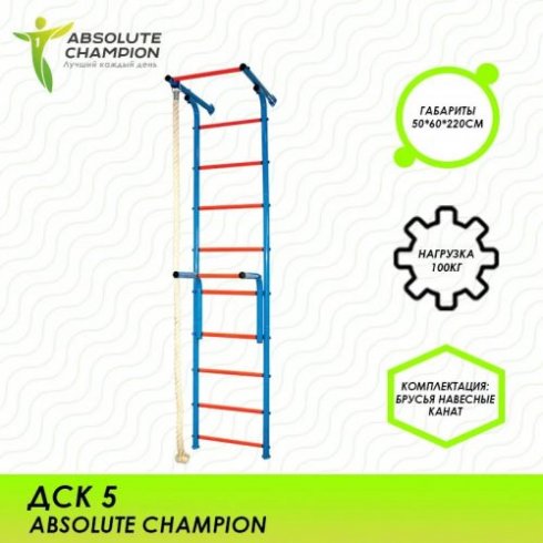 Детский спортивный комплекс Absolute Champion ДСК 5 (сине-красный)
