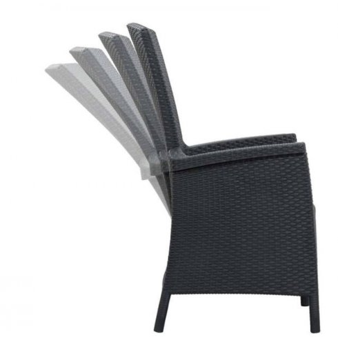 Кресло садовое Keter Vermont 238452 (графит)