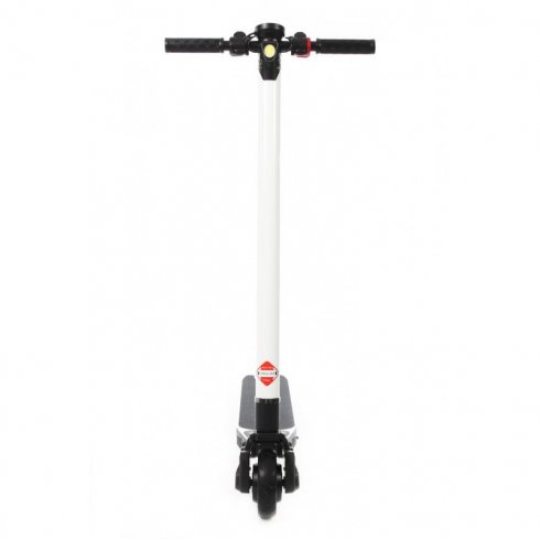 Электросамокат Forsage FES25012001 (зеленый)