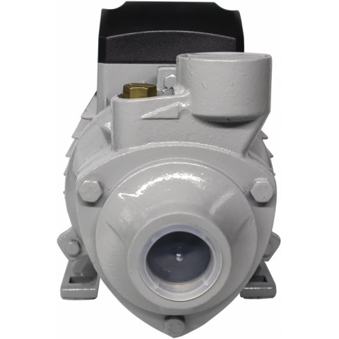 Насос поверхностный Ресанта ПСН-3300Ч (77/4/3)