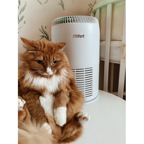 Очиститель воздуха Kitfort KT-2812