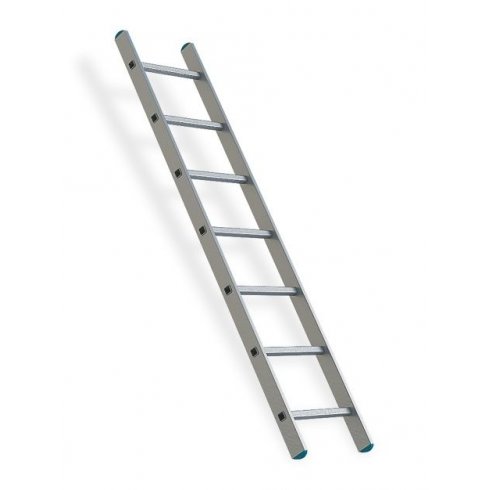 Лестница приставная TOR 1x7 (1013281)